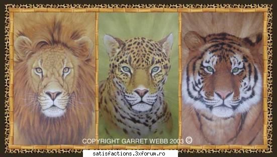big cats... - misstika - Criminalii la orizont...