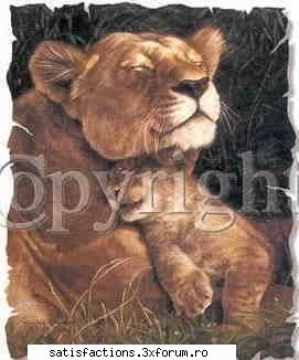 big cats... - misstika - Criminalii la orizont...