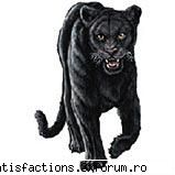 big cats... - acum pe bune, ce parere aveti de cele trei? sau - Criminalii la orizont...